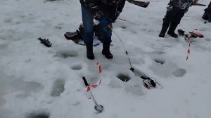 11.01.26 г. РК Волна.