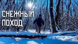 Поход в Снежную Лесную Чащу / Чай, Мате, Разговоры у Костра