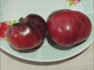 Каталог томатов на 2026 год. Новинки 2025 года. Часть 3. г. Киров