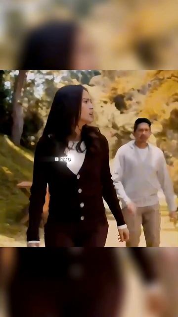 Мой умный пёс по запаху нашёл дорогу домой