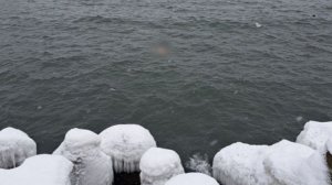 В акватории морского порта на Сахалине нашли утонувшую пенсионерку