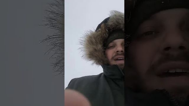 прогулка смотреть онлайн