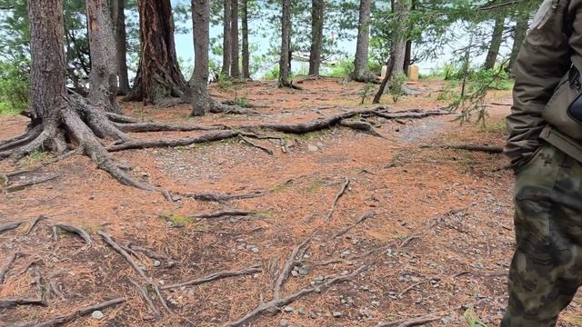 К Мультинским озёрам