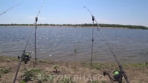 ВЗЯЛ ТРОФЕЙ 20 !!! ВОТ ЭТО РАЗДАЧА! РЫБАЛКА НА ВОЛГЕ! Рыбалка в Астрахани 2025.