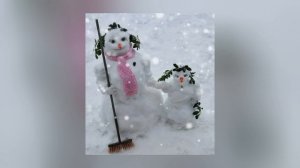 Марш снеговиков.
Весёлое видео.