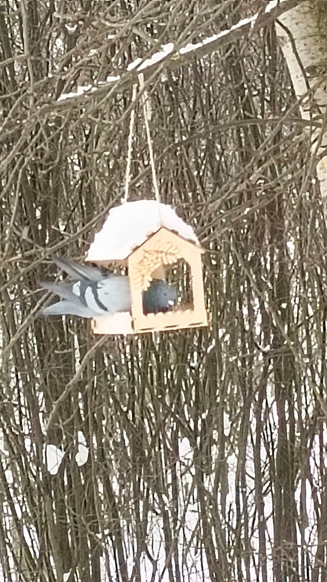 В зимнем лесу . смотреть онлайн