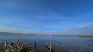 С НОЧЁВКОЙ НА ОХОТУ И РЫБАЛКУ. ДИКИЙ ОСТРОВ. Охота на утку с чучелами и рыбалка