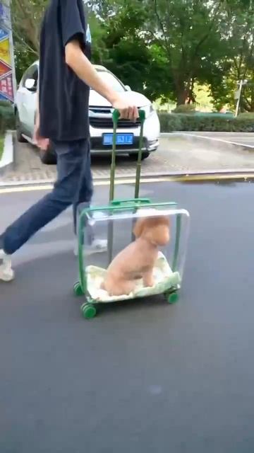 Самый ценный багаж в путешествиях☺))