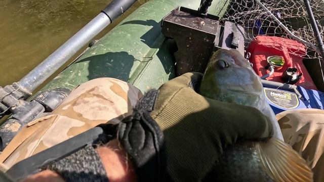 🎣ОКУНЬ ЗАВЕС🎣fishing#туризм#природа#ловля#рыбалка#щука#ловлящуки#ночевка#Чулым#река#спиннинг смотреть онлайн