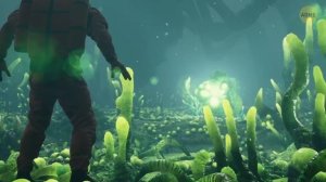 NASA обнаружило признаки жизни на Энцеладе и другие возможные человеческие жилища в космосе