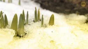 Обычные вещи в вашем доме могут быть неожиданно опасными