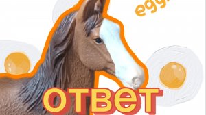 Ответ на вопросы