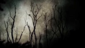 Классные истории  для Вас.