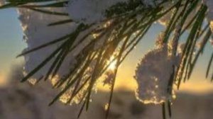 12 января - Анисьин день. Традиции и народные приметы