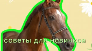 Советы для новичков