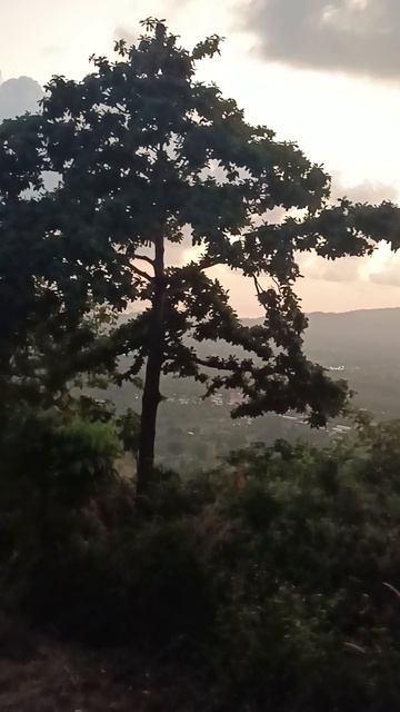 По пути к обзорной площадке Hua Thanon Bay View, Самуй, Таиланд (Way to Hua Thanon Bay, Samui, Thai)