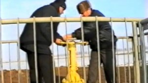 Каменка-Днепровская, 11.01.2000 сбылась мечта горожан - к нам пришёл газ