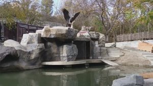 дагестан, каспий, манас, санаторий, санаторий каспий, отдых в дагестане,