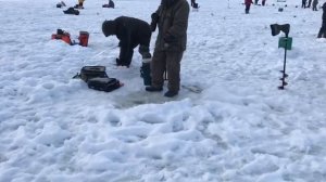 поимка форели на ратлин