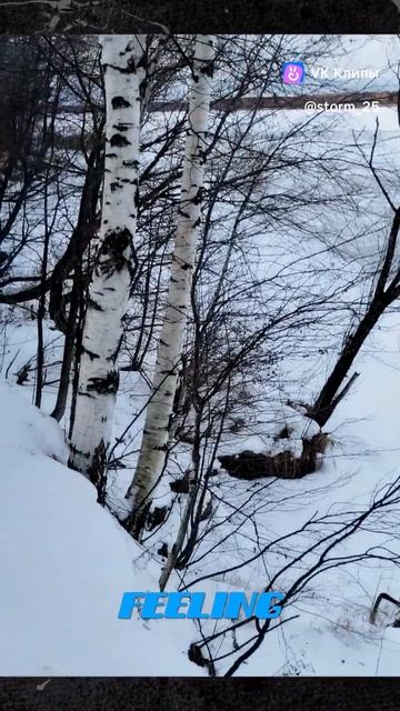 Мои самые первые видео декабрь 2024 смотреть онлайн