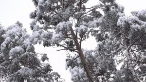 11 января - Опасный день. Обязательно положите это в карман.