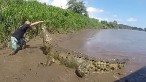 Невероятные Моменты, Снятые на Камеру