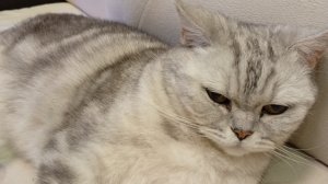 Я прошёл это ради Аллаха! | Spam for Allah 100%