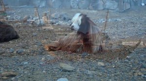 удивительные страны в существование которых сложно поверить