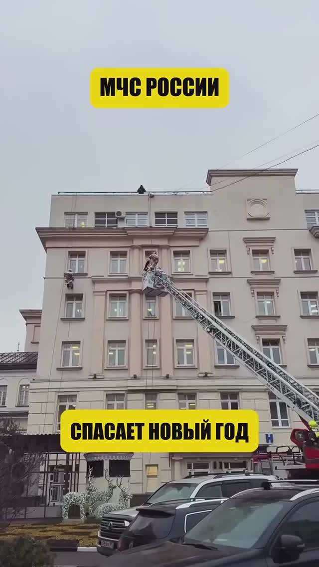 Новогоднее чуда должно быть у каждого! (перевод Такер Карлсон) смотреть онлайн