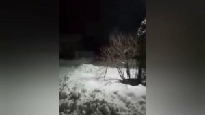 Вчерашняя травля - продолжение