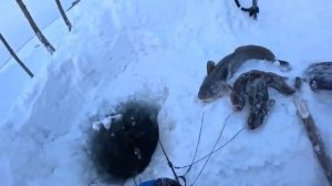 ПЕРЕМЕТ | ПРОВЕРКА 10.01.2026