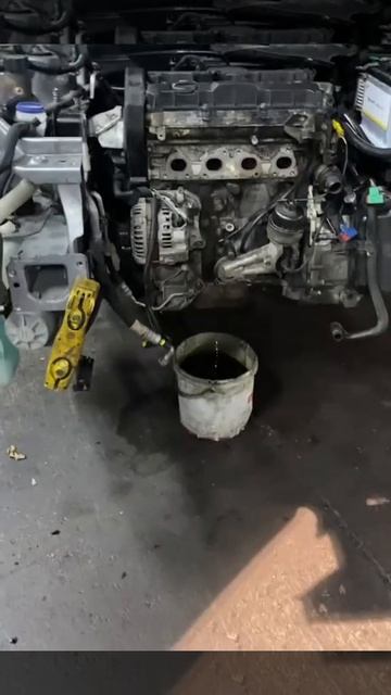 Не молодой, но надежный — TU5JP4 1.6 Peugeot/Citroen.