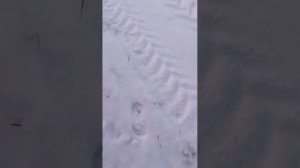 Одни в заброшенной деревне