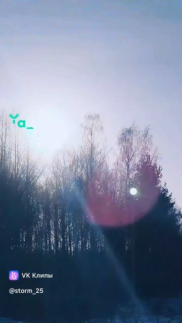 Мои самые первые видео январь 2025 смотреть онлайн