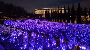 Парк Галицкого💫Краснодар, январь 2026lv_0_20260111151523