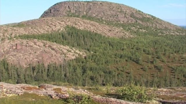 ©  «Виды Немецкого Кузова 1» Съемки 2005 г