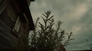 Ох, Надя, Надя, Наденька.