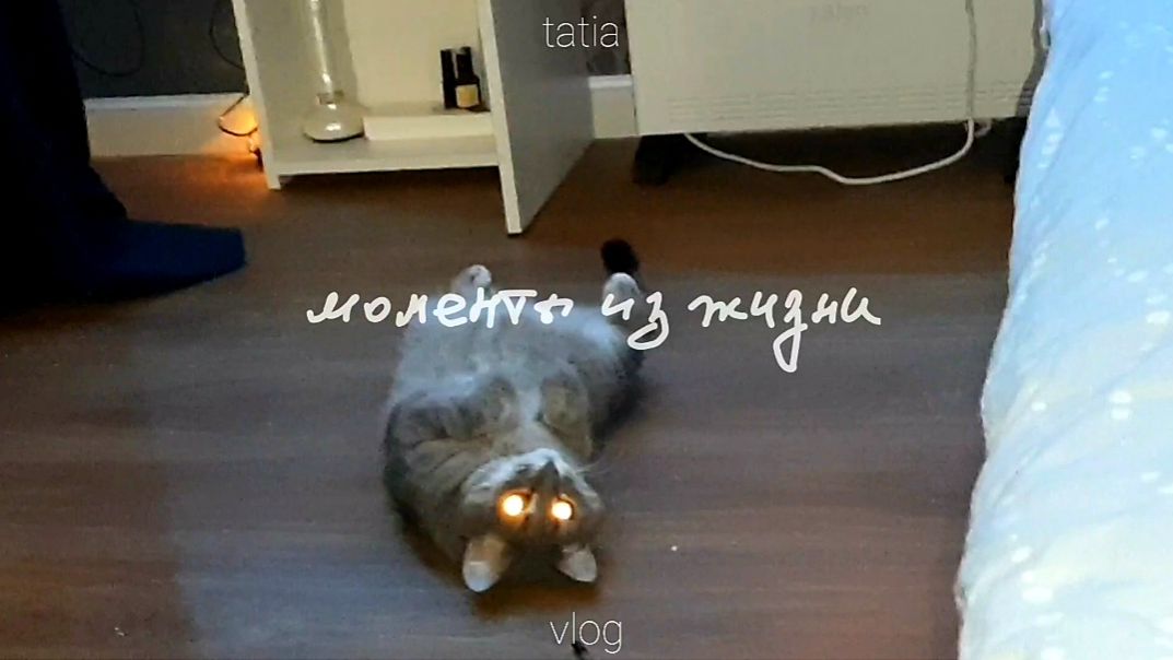 СДЕЛАЛА САЛАТ И ЗАХОТЕЛОСЬ В ДЕРЕВНЮ смотреть онлайн