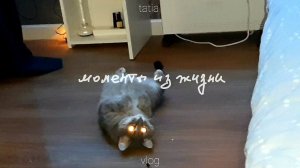 СДЕЛАЛА САЛАТ И ЗАХОТЕЛОСЬ В ДЕРЕВНЮ