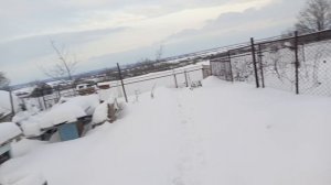 обзор сада 10 января , готовим плов на газовой горелке