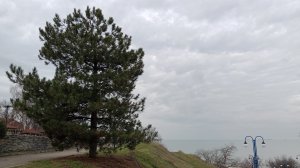 10 января - попали под дождь +5☔ Особенности зимы в Ейске ❄️