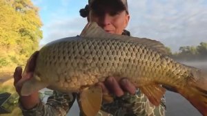 ВОТ ЭТО ЖОР! ЖОР САЗАНА НА АХТУБЕ! Рыбалка на донки. Ловля сазана. Рыбалка в Астрахани.