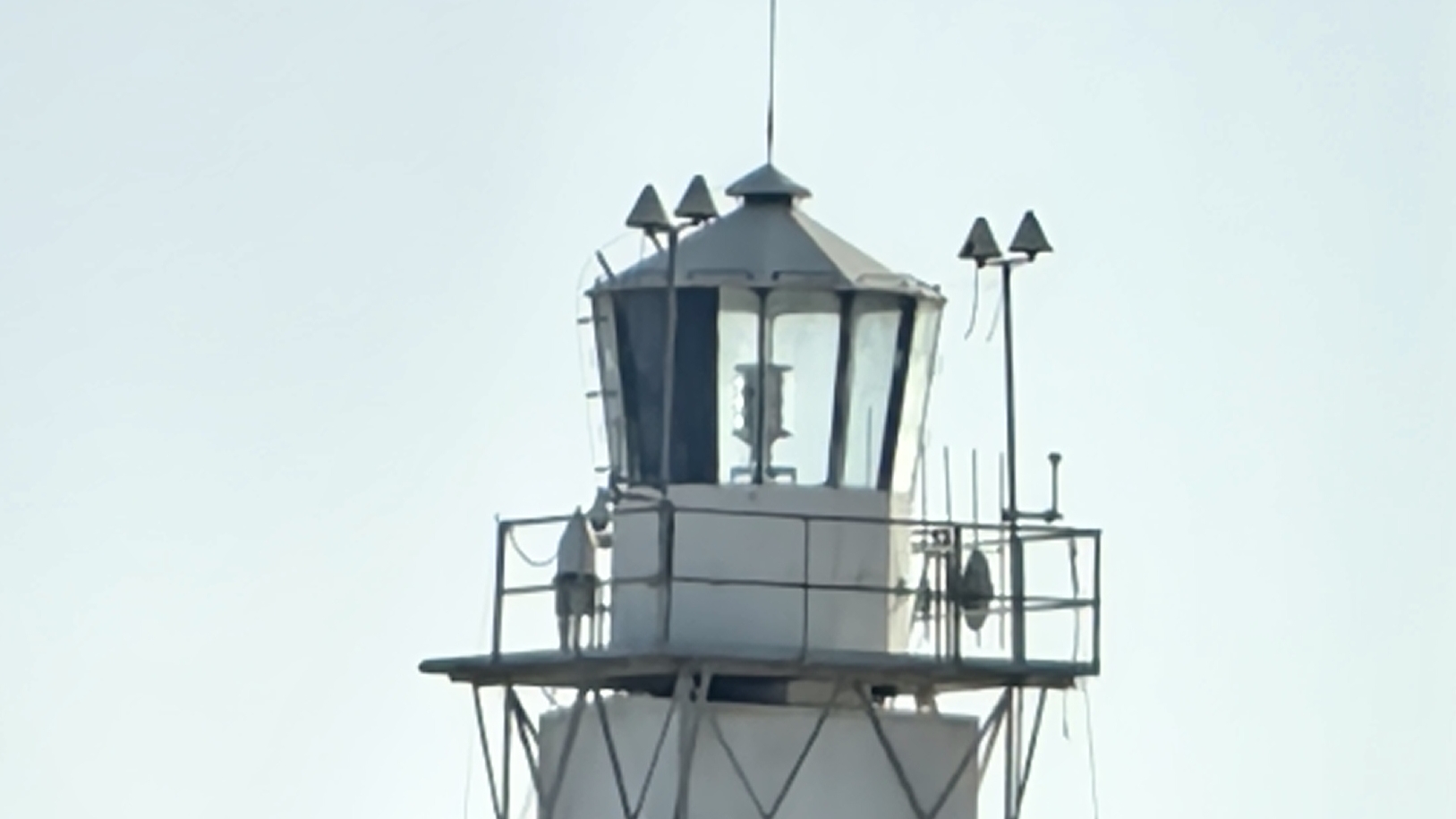 Мурена Египет