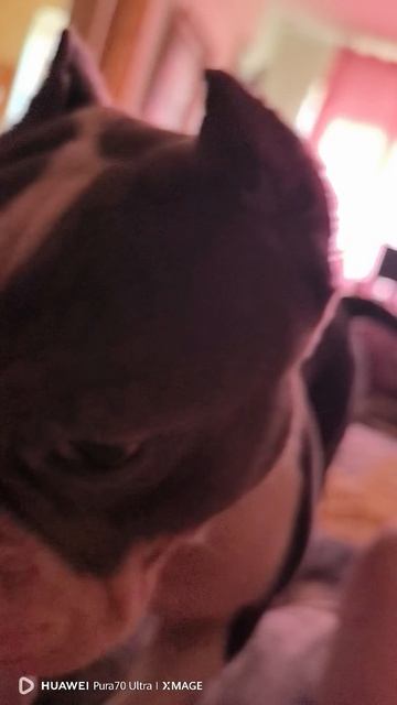 VID_20250818_181134.mp4 смотреть онлайн