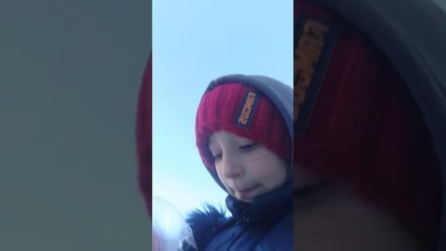 пр смотреть онлайн