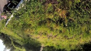 По трассе на Sherman L в Курган с поездкой по городу и обратно 2025 год часть 3