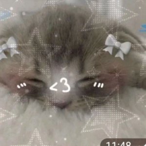 ТУТ РЖАКА ЗАХОДИ