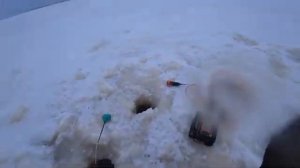 ЧУДСКОЕ ОЗЕРО! КРУПНАЯ ГУСТЕРА! ХОРОШИЙ КЛЁВ !ОТКРЫТИЕ! РЯПИНА(Тёплое озеро)