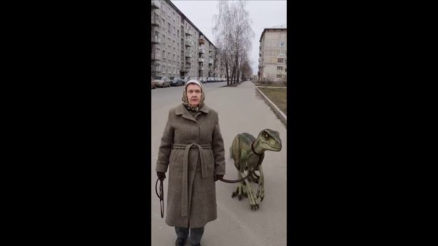 мой домашний питомец зажрал гаишника и за того что гаи меня остановили смотреть онлайн