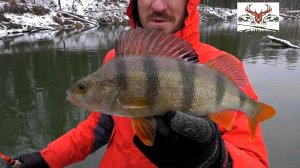 Зимняя рыбалка на спиннинг